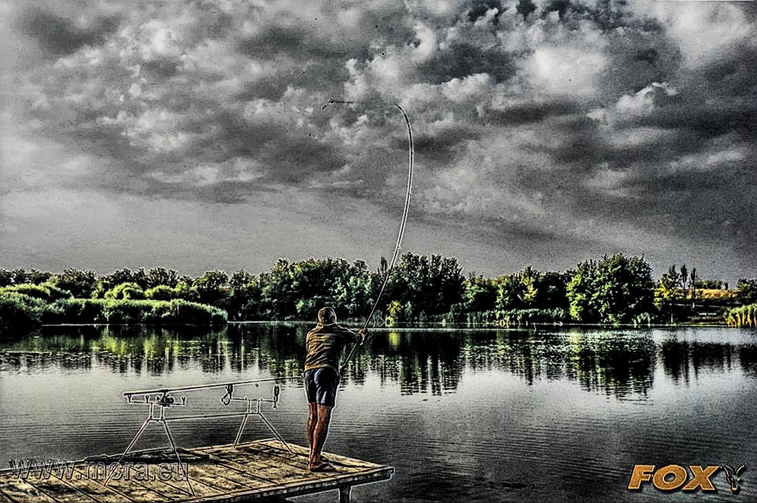 MeetCarp Romanian Awards 2013 - 1010063hdrmode2-2.jpg